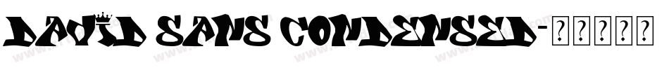 David Sans Condensed字体转换